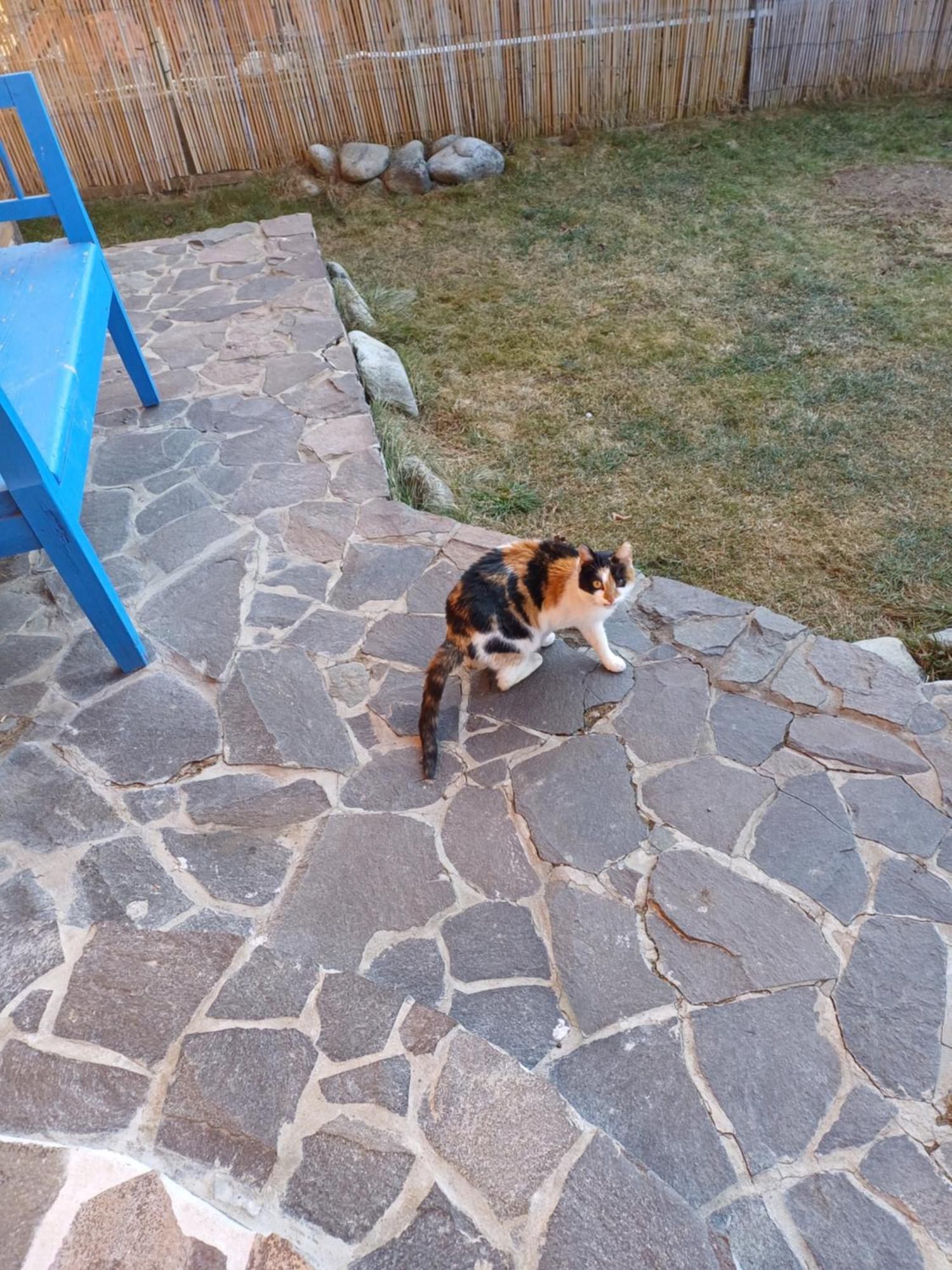 Appartement Drevenica Zapadne Tatry S Kupacou Kadou A Krbom à Žiar Extérieur photo
